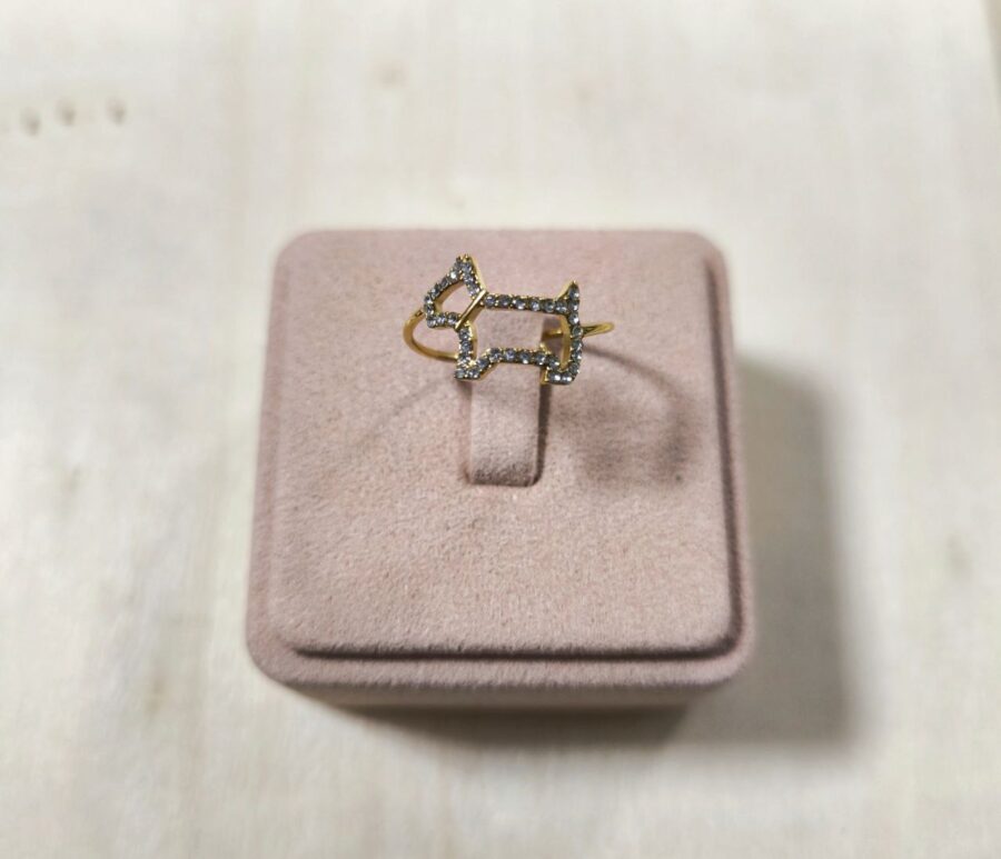 Anillo Chipie