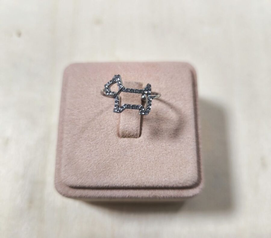 Anillo Chipie - Imagen 2